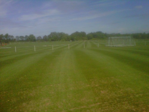 Long Lane June 14
